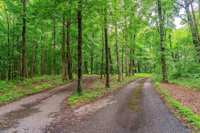 5030 Chinkapin Ln, Franklin, TN 37069 - photo 3