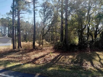 3800 Kickapoo Dr unit LOT 4, Green Sea, SC 29545 - photo 3