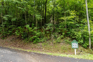 Lot 48 Riversong Way, Sevierville, TN 37876 - photo 4