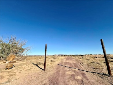 32467 Lakeview Ave, Newberry Springs, CA 92365 - photo 6