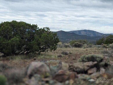 0 Tanganda unit 9993417, Tehachapi, CA 93561 - photo 4