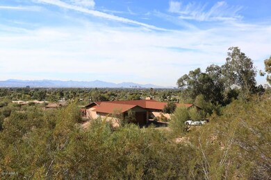 City View from Back