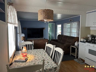 217 Hart Ave, Edgewater, FL 32132 - photo 3