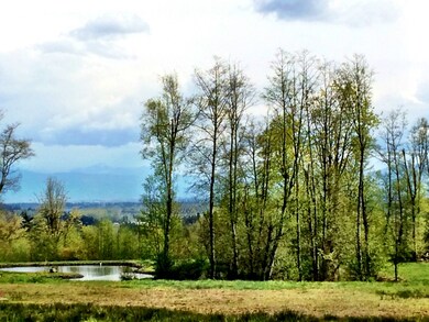 0 Stein Hill Ln unit 765973, Custer, WA 98240 - photo 3