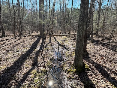 9 Tennessee 399, Dunlap, TN 37327 - photo 5