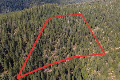 11023 Lowell Hill Rd, Nevada City, CA 95959 - photo 2