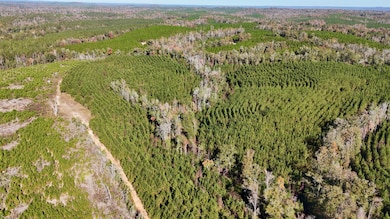 0000 Highway 82, Eufaula, AL 36027 - photo 3