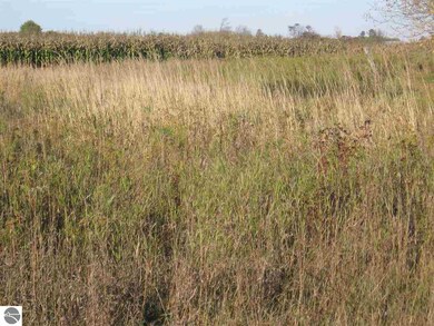 0 Simmons Rd, West Branch Township, MI 48661 - photo 4