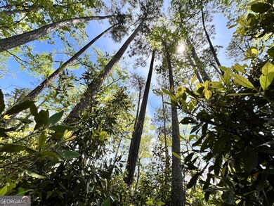 2190 Isles of Saint Marys Way, St. Marys, GA 31558 - photo 7