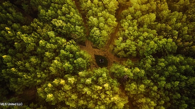 1884 Marshall Pics -3