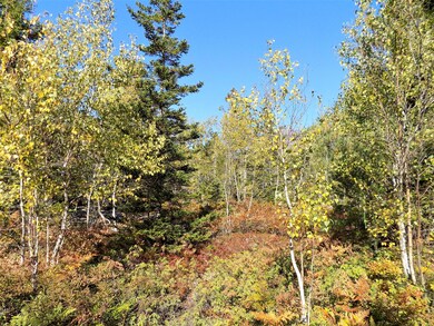 early fall