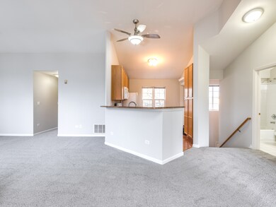 Dining/Living Room