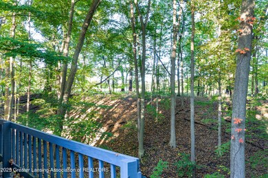 View of Woods from Deck