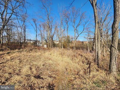 741 Independence St, Berkeley Springs, WV 25411 - photo 3