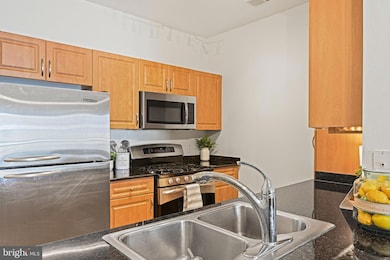 12954 Centre Park Cir unit 303, Herndon, VA 20171 - photo 5