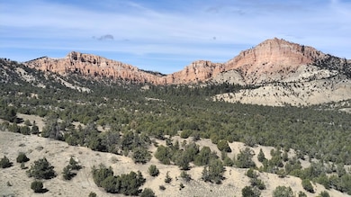 160 Acres Bordering Bryce Canyon