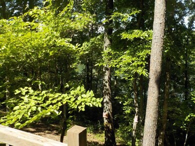 401 S Lake Dr, Burnside, KY 42519 - photo 4