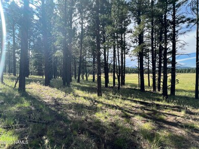 Keith 14646 Northwest rear property line