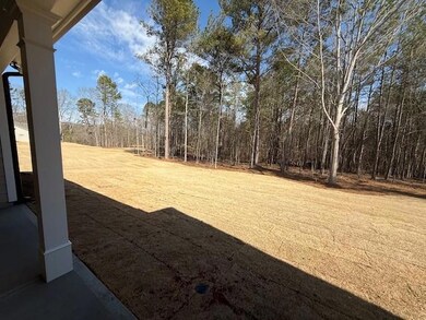 553 Belle Woode St, Monroe, GA 30656 - photo 6