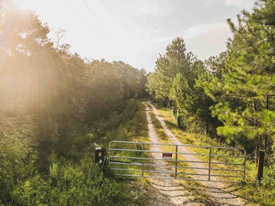 210 Egg & Butter Rd, Ochlocknee, GA 31773 - photo 3