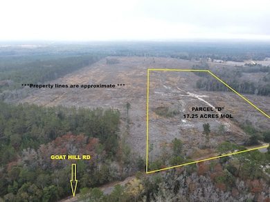 17.25 Acres Goat Hill Rd, Samson, AL 36477 - photo 3