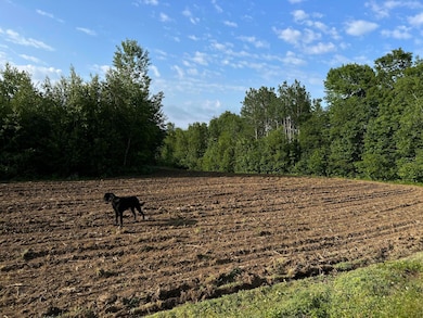 M5L28-5 Moosehead Trail Hwy, Brooks, ME 04921 - photo 5