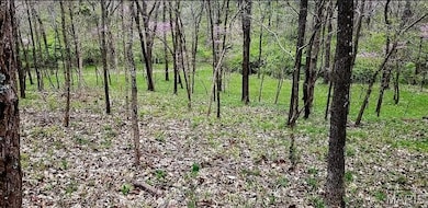 1500 Summit On Pond Ln, Glencoe, MO 63038 - photo 2