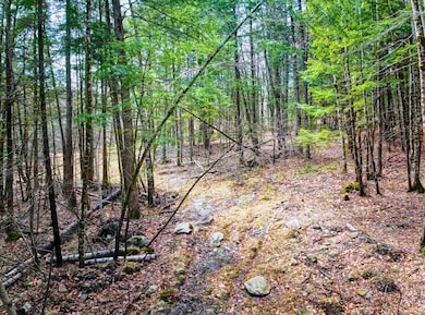 0 Hominy Pot Rd unit 5036928, Sutton, NH 03260 - photo 2