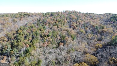 0 Benfield Ln unit 10655737, Clarkesville, GA 30523 - photo 6