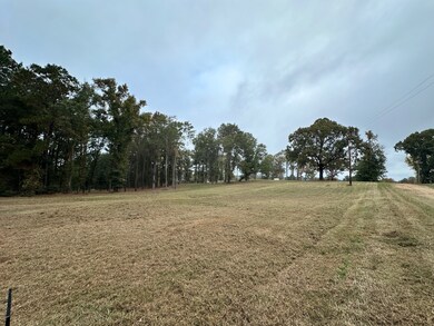 1 Yokum Trail, Many, LA 71449 - photo 5