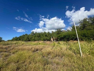 952 Luawai St, Olowalu, HI 96761 - photo 5