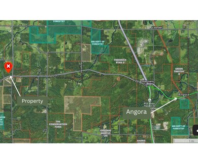 9195 Samuelson Rd, Angora, MN 55703 - photo 4