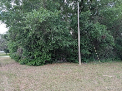 8246 N Golfview Dr, Citrus Springs, FL 34434 - photo 3