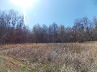 0 Spring Cir, Linden, TN 37096 - photo 7