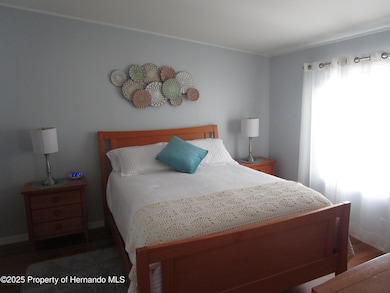 9228 Basil St, Brooksville, FL 34613 - photo 7