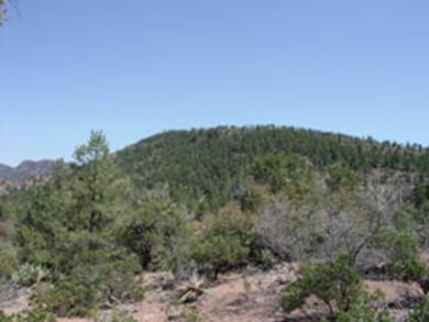 1203 E Phoenix St, Payson, AZ 85541 - photo 5