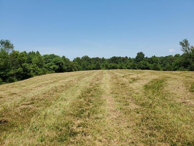 7A Coles Chapel Rd, Sparta, TN 38583 - photo 6