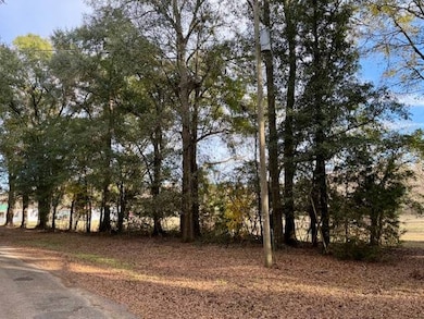 336 Beach Rd, Camden, AL 36726 - photo 3