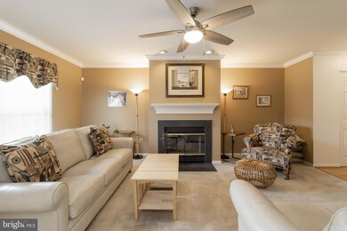 3900 Old York Rd, Baltimore, MD 21218 - photo 4