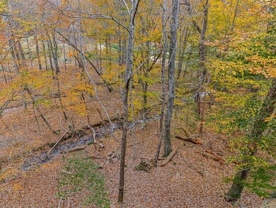 617 Crippled Oak Trail, Jasper, GA 30143 - photo 5