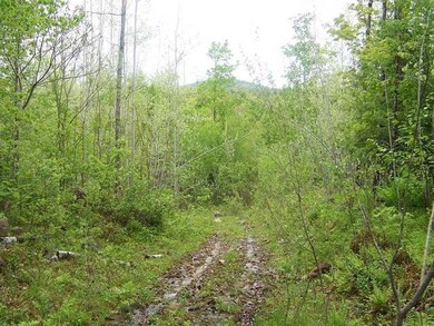 Lot 1A Spring Rd, Newfield, ME 04056 - photo 3