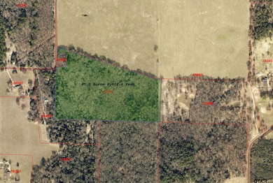 TBD County Road 3245, Quitman, TX 75783 - photo 3