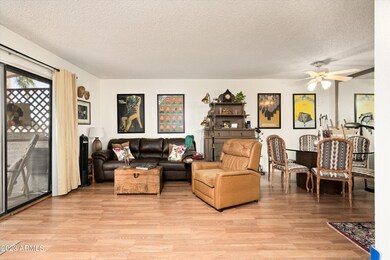 Main Living Space