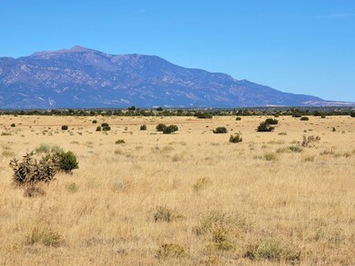 0 La Deora Blvd unit 25762736, Walsenburg, CO 81089 - photo 7