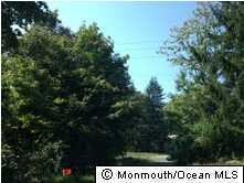 386 State Route 79, Morganville, NJ 07751 - photo 2