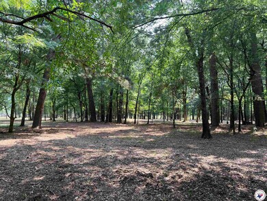 0 Cr 3201 & Cr 3203 unit 117264, Dekalb, TX 75559 - photo 4