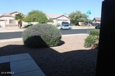 Front Yard