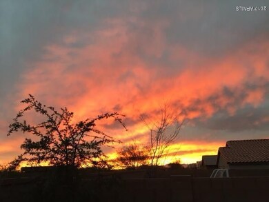 Gorgeous Sunsets