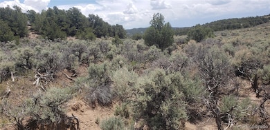 Lot 1505 Juarez & Dunn Rd unit 1505, San Luis, CO 81152 - photo 4