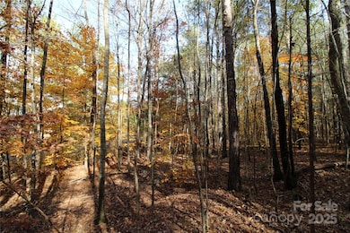Lot 2 5+/-AC Bookout Rd, Rock Hill, SC 29730 - photo 6